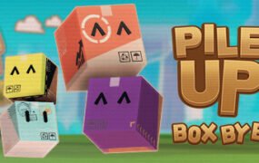 堆叠 逐箱/Pile Up! Box by Box