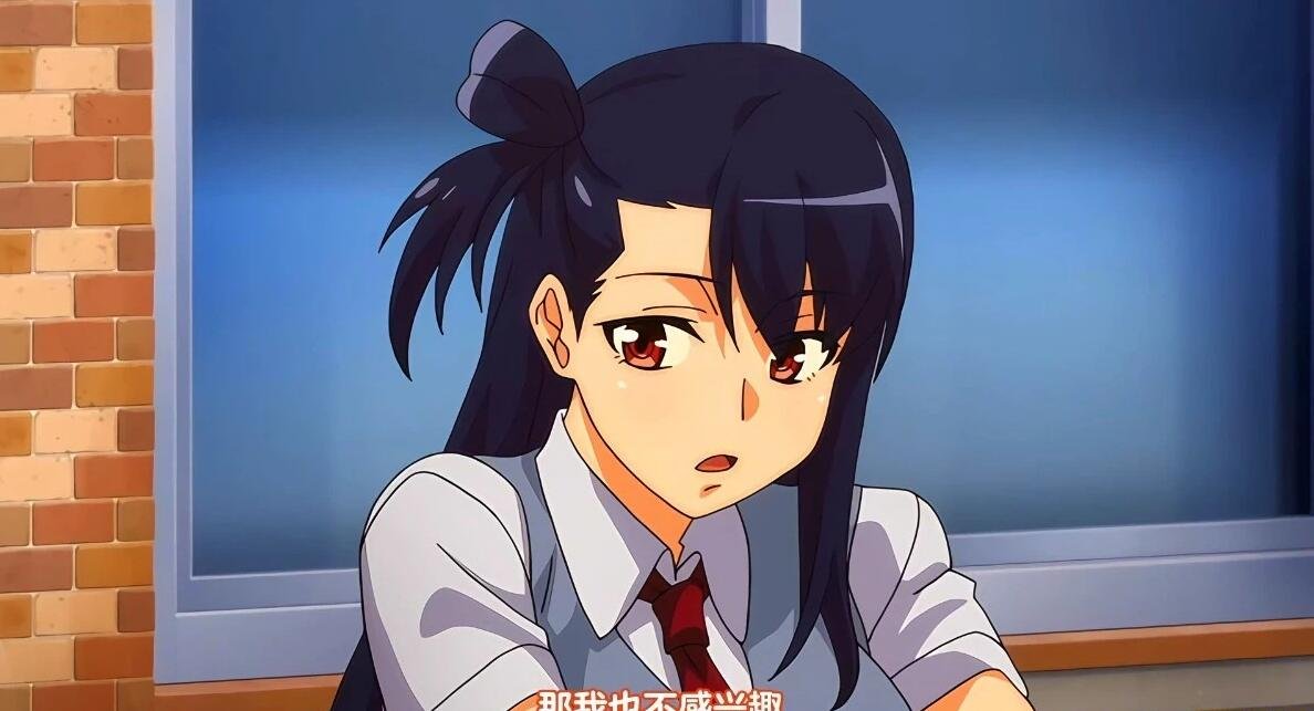 【DH/2D/中文/里番】[月度合集] 2024年06月 中文里番合集【13V/5G】